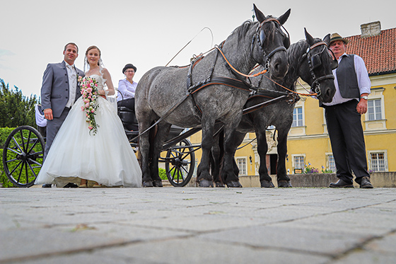 Hochzeit